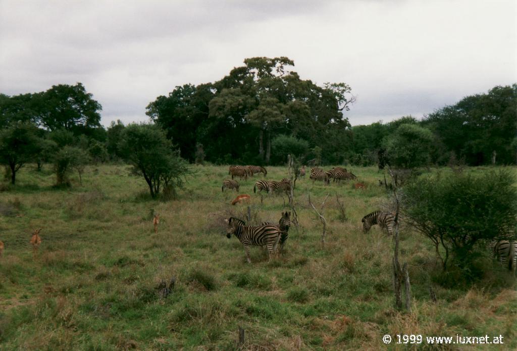 Kruger National Park