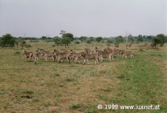 Kruger National Park