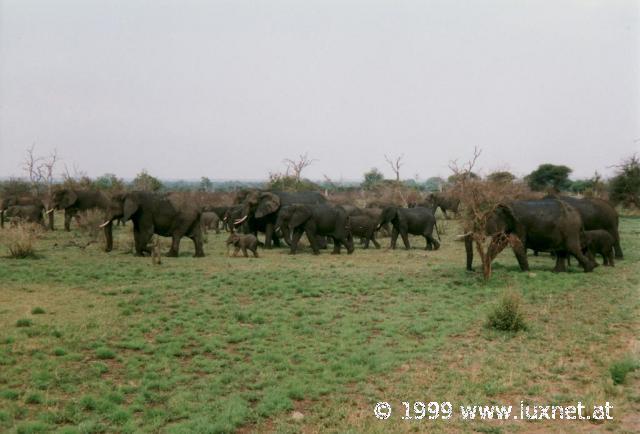 Kruger National Park