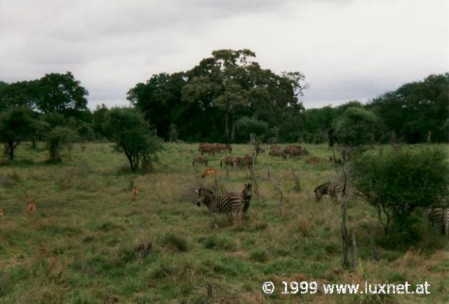 Kruger National Park