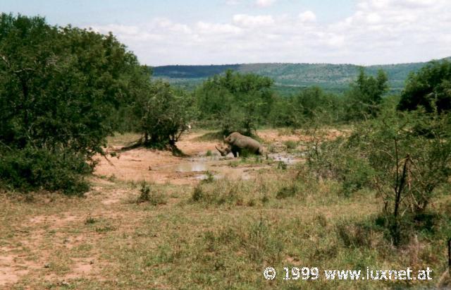 Hluhluwe-Umfolozi Game Reserve