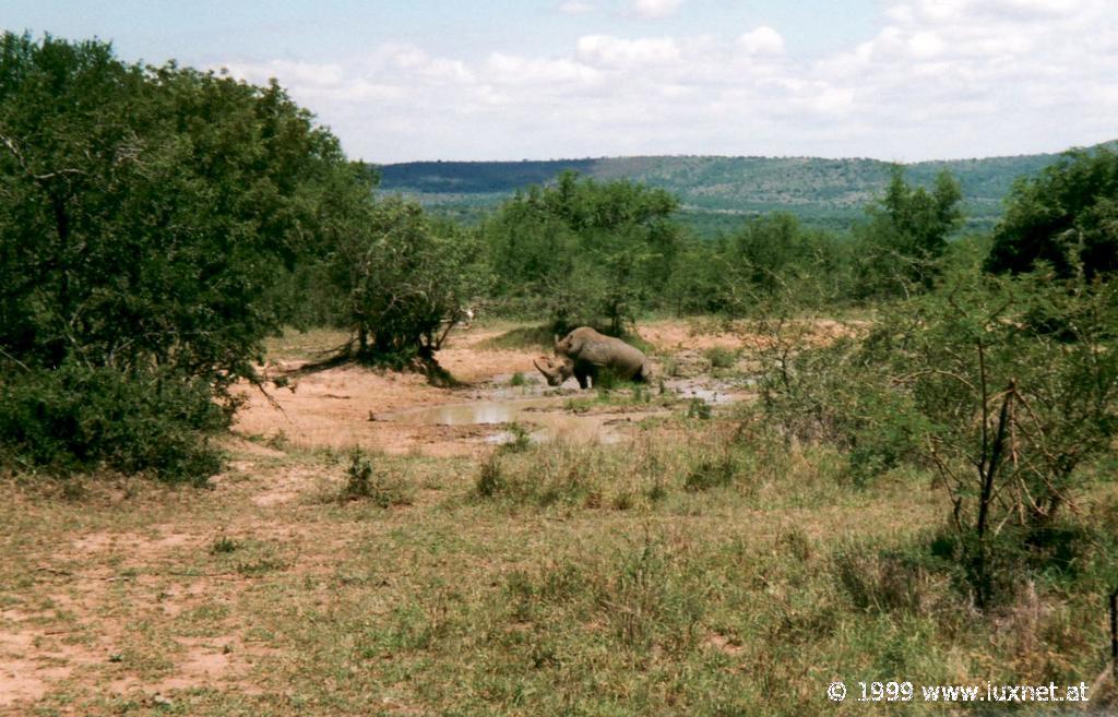 Hluhluwe-Umfolozi Game Reserve