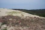 Nida, Curonian Spit