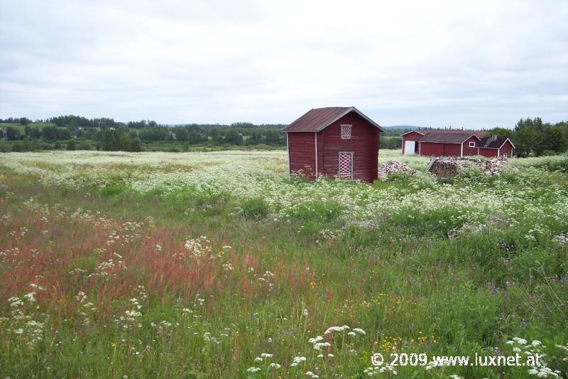 Lappi Landscape