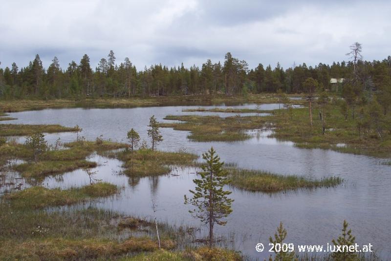 Lappi Landscape