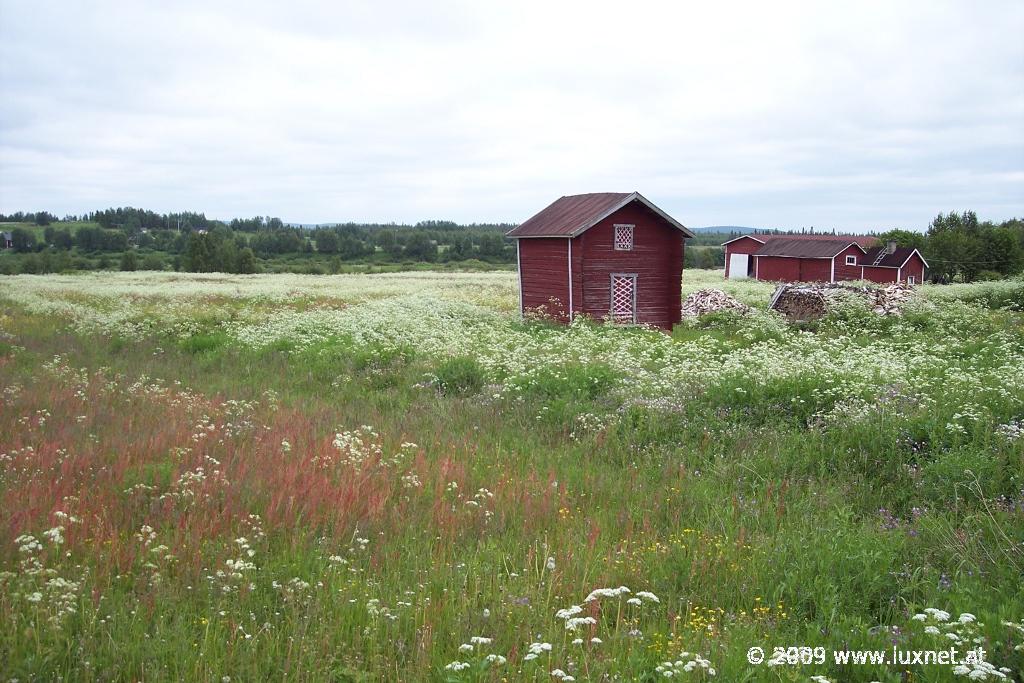 Lappi Landscape