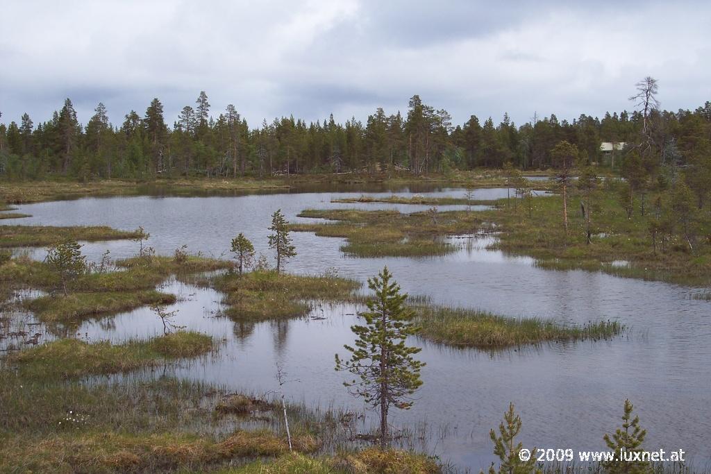 Lappi Landscape