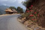 Luang Prabang province