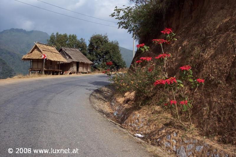 Luang Prabang province