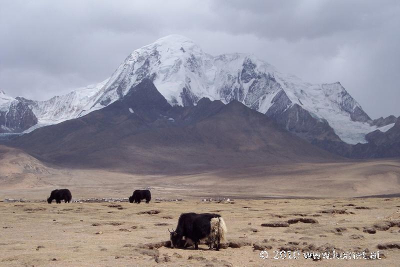 Jomo Gangtse, 7048m (Ü)