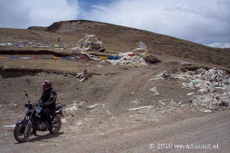 Dongu Pass, 4960m (Ü)