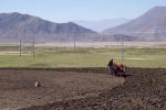 Tibetan Farmers (Tsang)