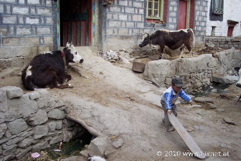 Gyantse (Tsang)