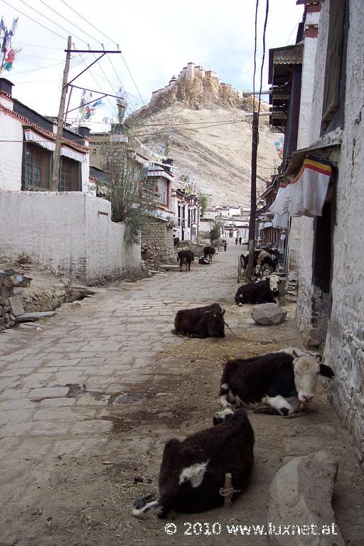 Old Town, Gyantse (Tsang)