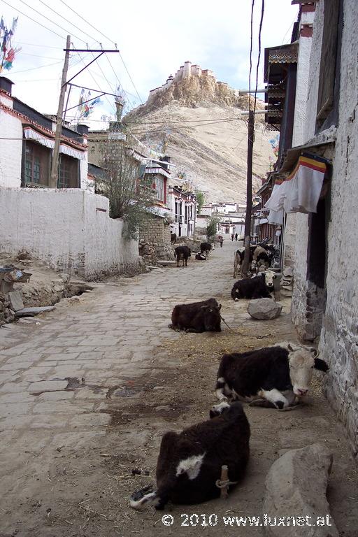 Old Town, Gyantse (Tsang)