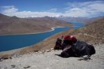 Kamba Pass, 4799m (Tsang)