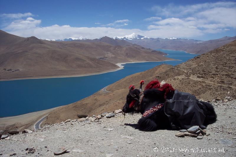 Kamba Pass, 4799m (Tsang)