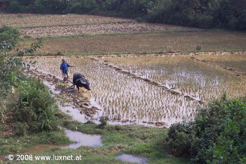 Ho-Chi-Minh highway scenery