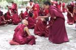 Debating Monks, Sera (Ü)