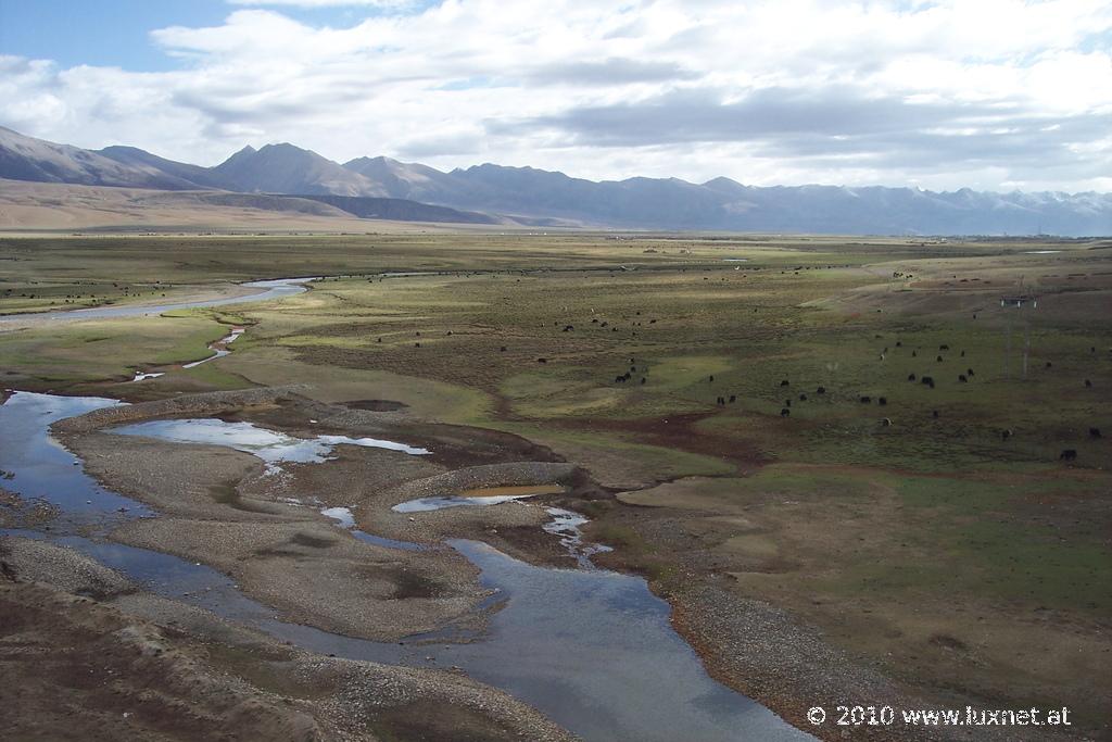 Tibet Train Impressions