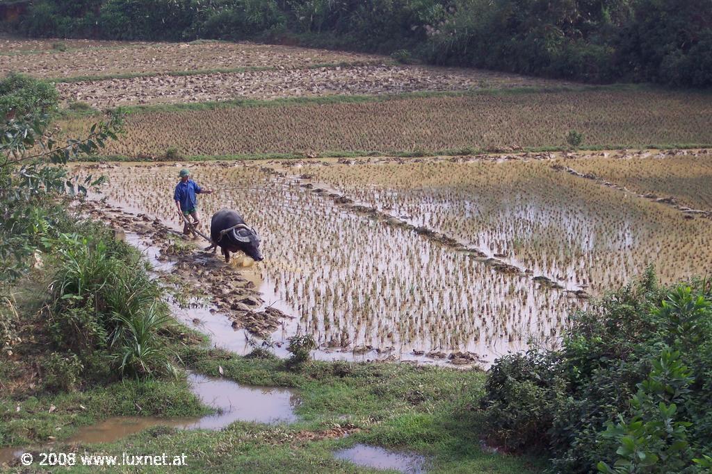 Ho-Chi-Minh highway scenery