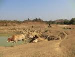 Landscape Scenery (Mrauk U)