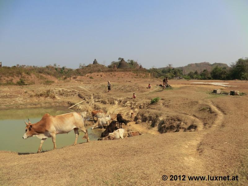 Landscape Scenery (Mrauk U)