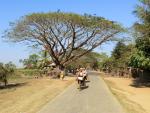 Landscape Scenery (Mrauk U)