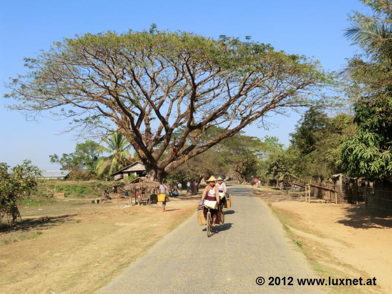 Landscape Scenery (Mrauk U)