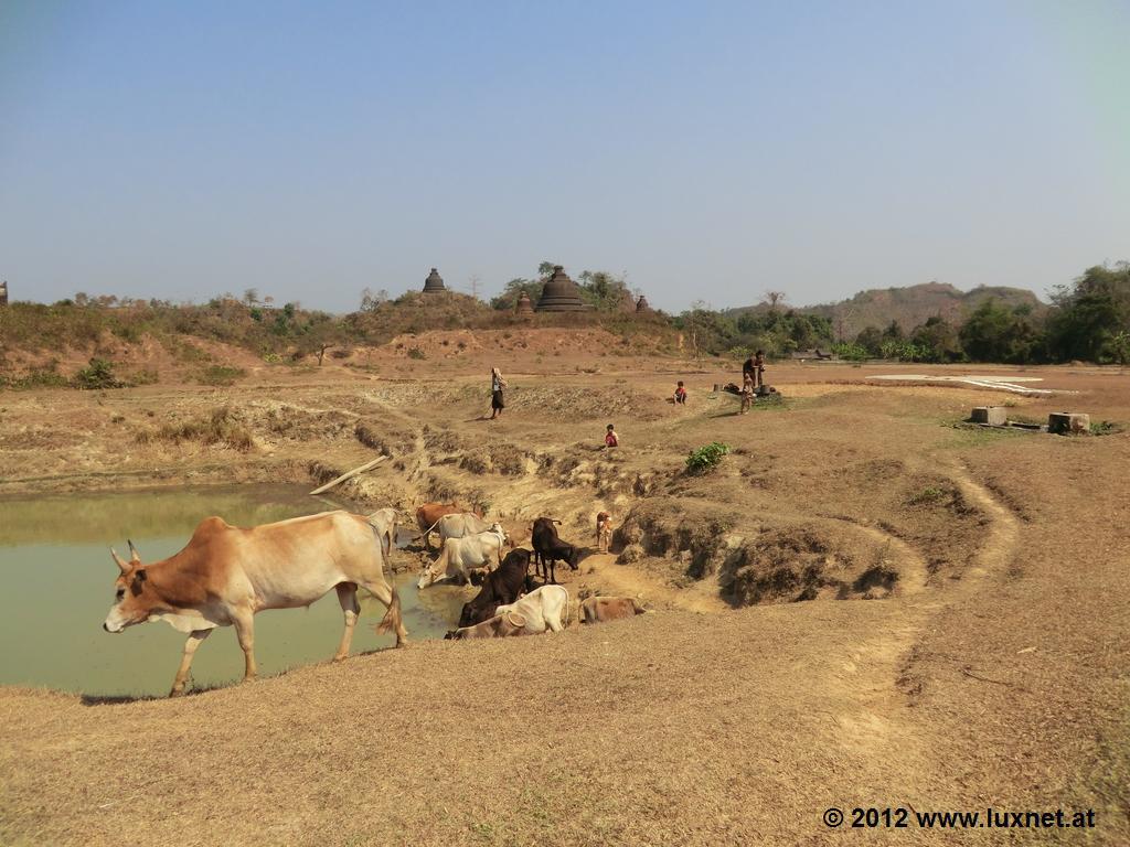 Landscape Scenery (Mrauk U)