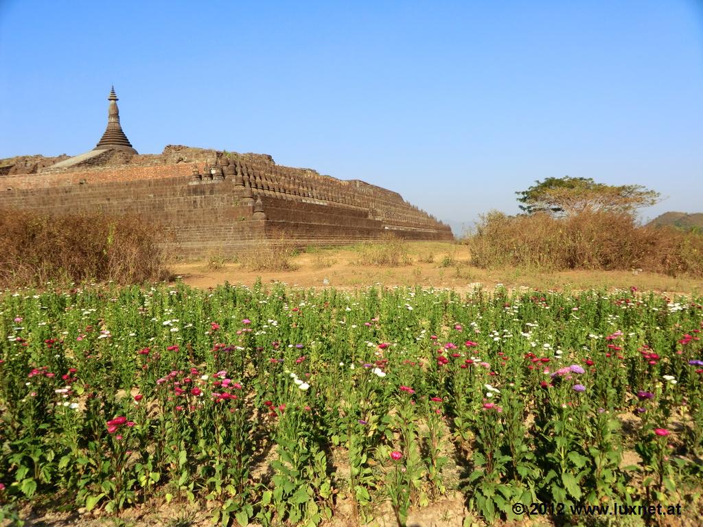 Kothaung Temple (Mrauk U)