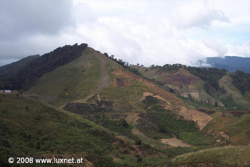 Landscape near Da Lat