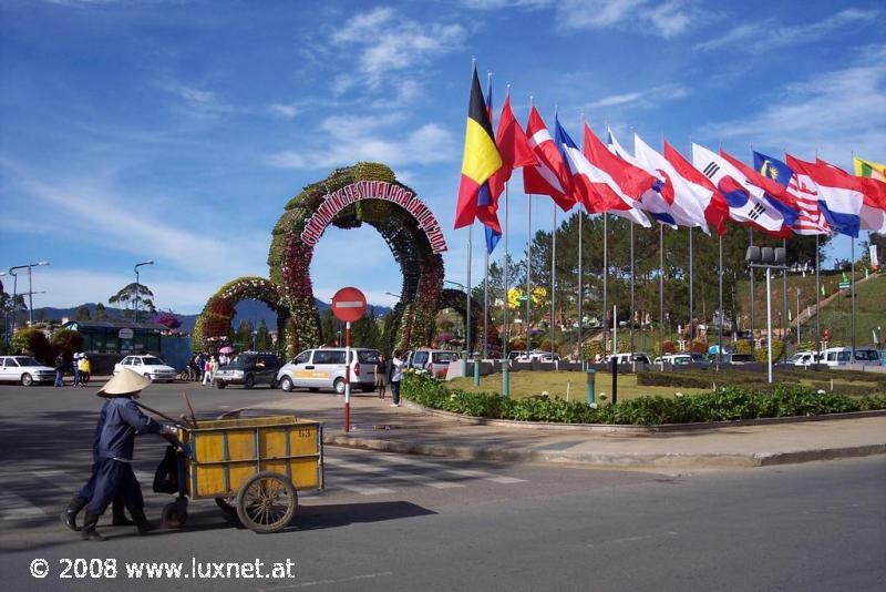 Flower festival (Da Lat)