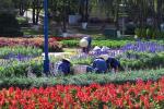 Flower festival (Da Lat)