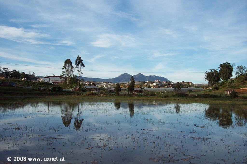 Flower festival area (Da Lat)