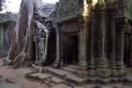 Ta Phrom (Angkor)