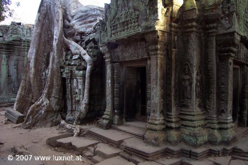 Ta Phrom (Angkor)