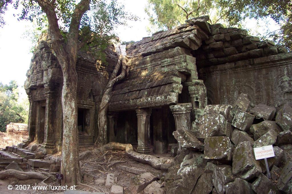 Ta Phrom (Angkor)