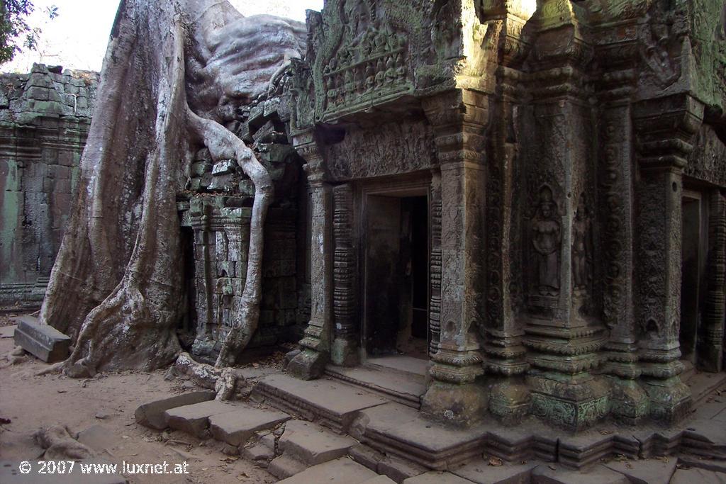 Ta Phrom (Angkor)