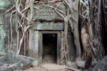 Ta Phrom (Angkor)