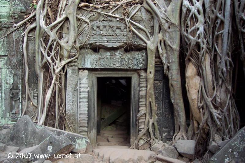 Ta Phrom (Angkor)