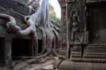 Ta Phrom (Angkor)