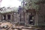 Ta Phrom (Angkor)