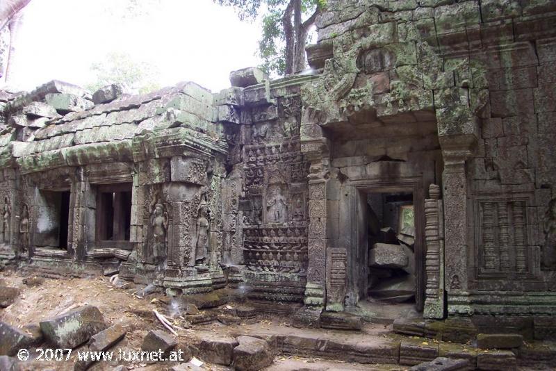 Ta Phrom (Angkor)