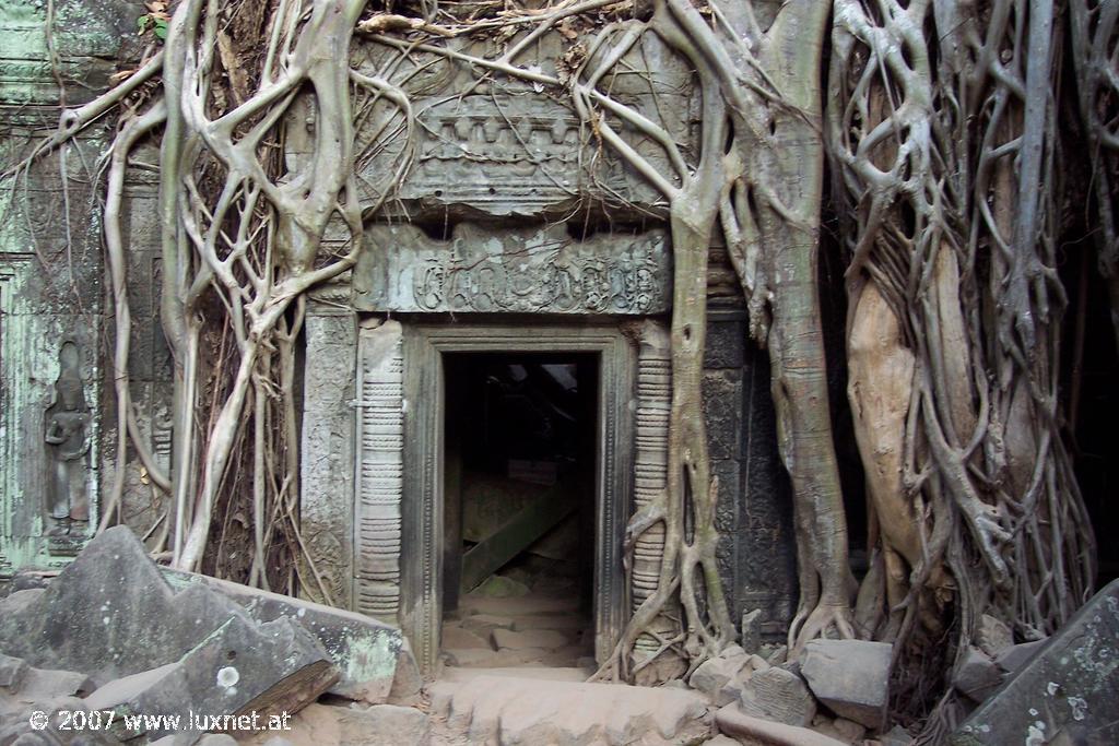 Ta Phrom (Angkor)