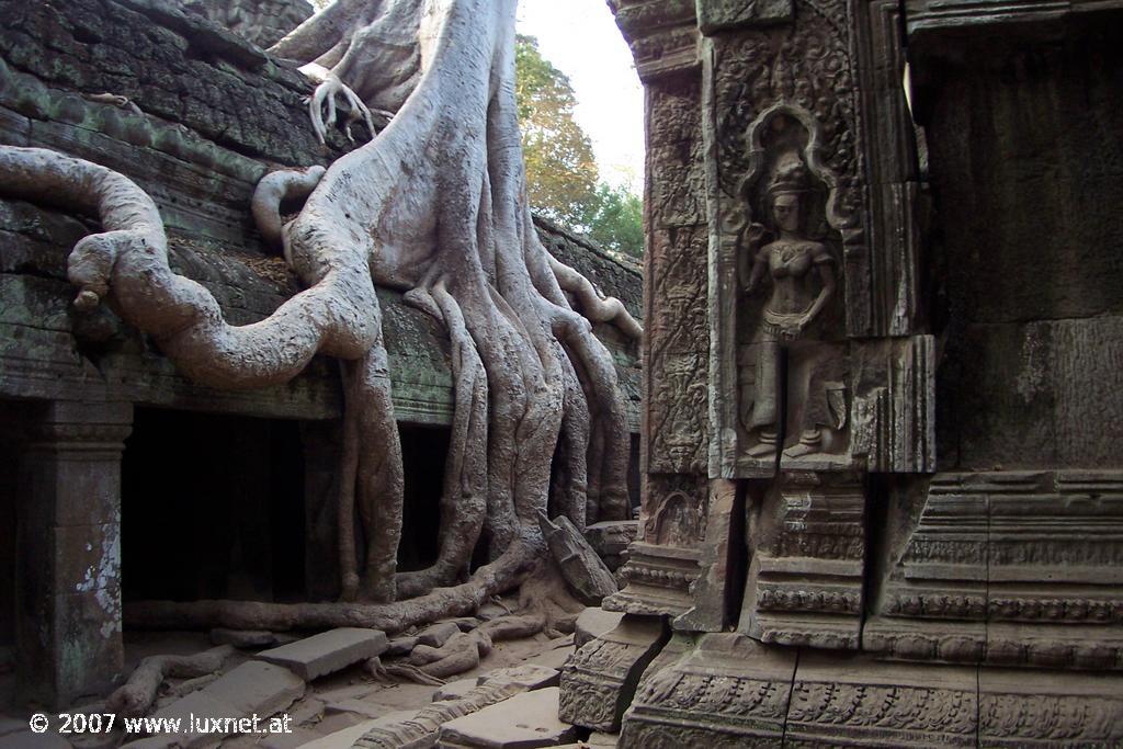 Ta Phrom (Angkor)