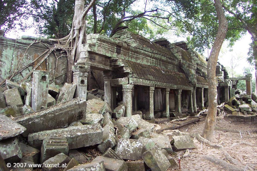 Ta Phrom (Angkor)