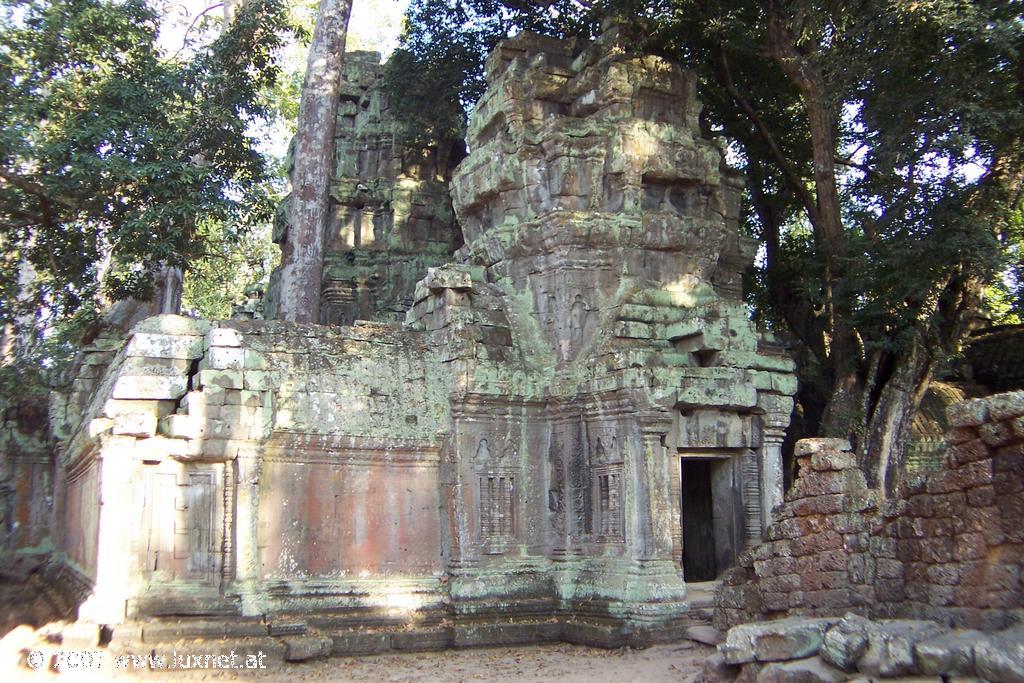 Ta Phrom (Angkor)