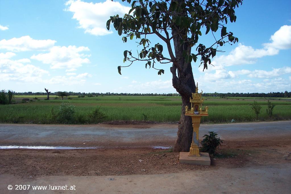 Angkor landscape